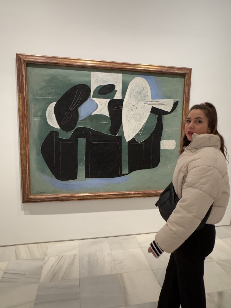 Reina Sofía Müzesi